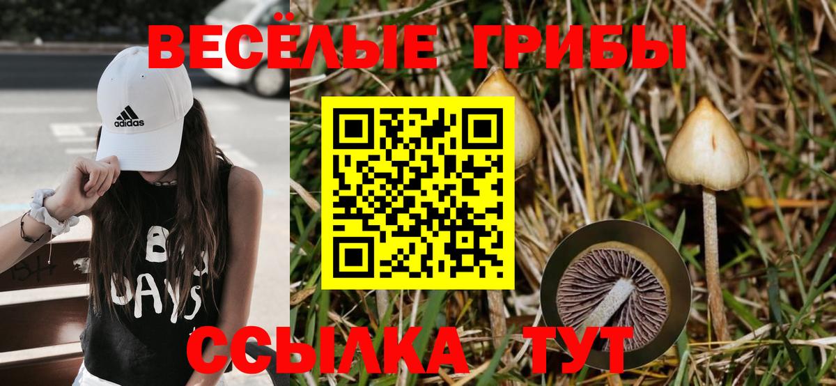 Галлюциногенные грибы ЛСД  где найти наркотики  Новороссийск  Вход с VPN 