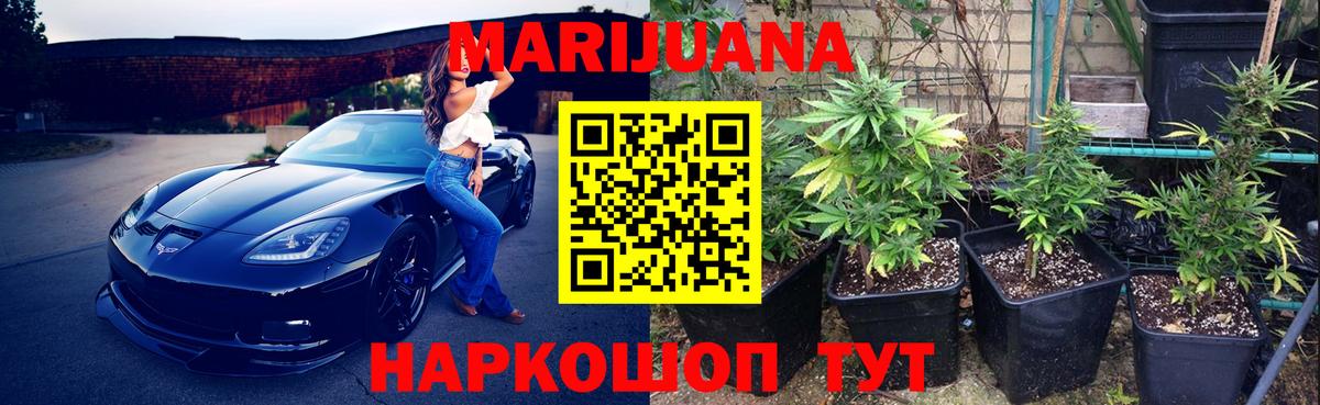 Марихуана White Widow  Марихуана OG Kush  Новороссийск  Вход с VPN 